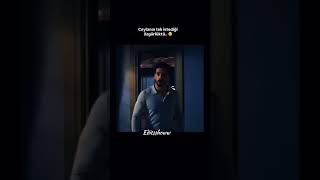 Ceylanım 🥺🥺 #yeraltı#denizcanaktaş#devrimözkan#haydarali#keşfet#explore#ceylan#viraledit#reel#shorts