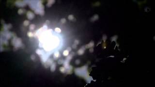 Moonblock - Falling Leaves