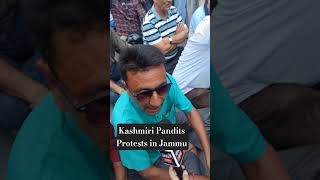 Kashmiri Protests on 10thday against NAFSA in jammu #kps #nafca #jammukashmir