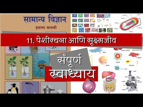 पेशीरचना आणि सूक्ष्मजीव याचा स्वाध्याय | peshi rachana ani sukshma jeev swadhyay | मराठी माध्यम