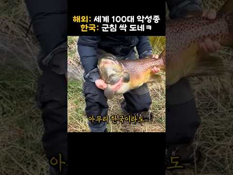 수백억 원으로 못 잡은 물고기를 한국이 잡은 이유