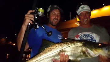 Jeff "Lunkerdog" catches a snook during the mullet run | Peter Miller Fishing