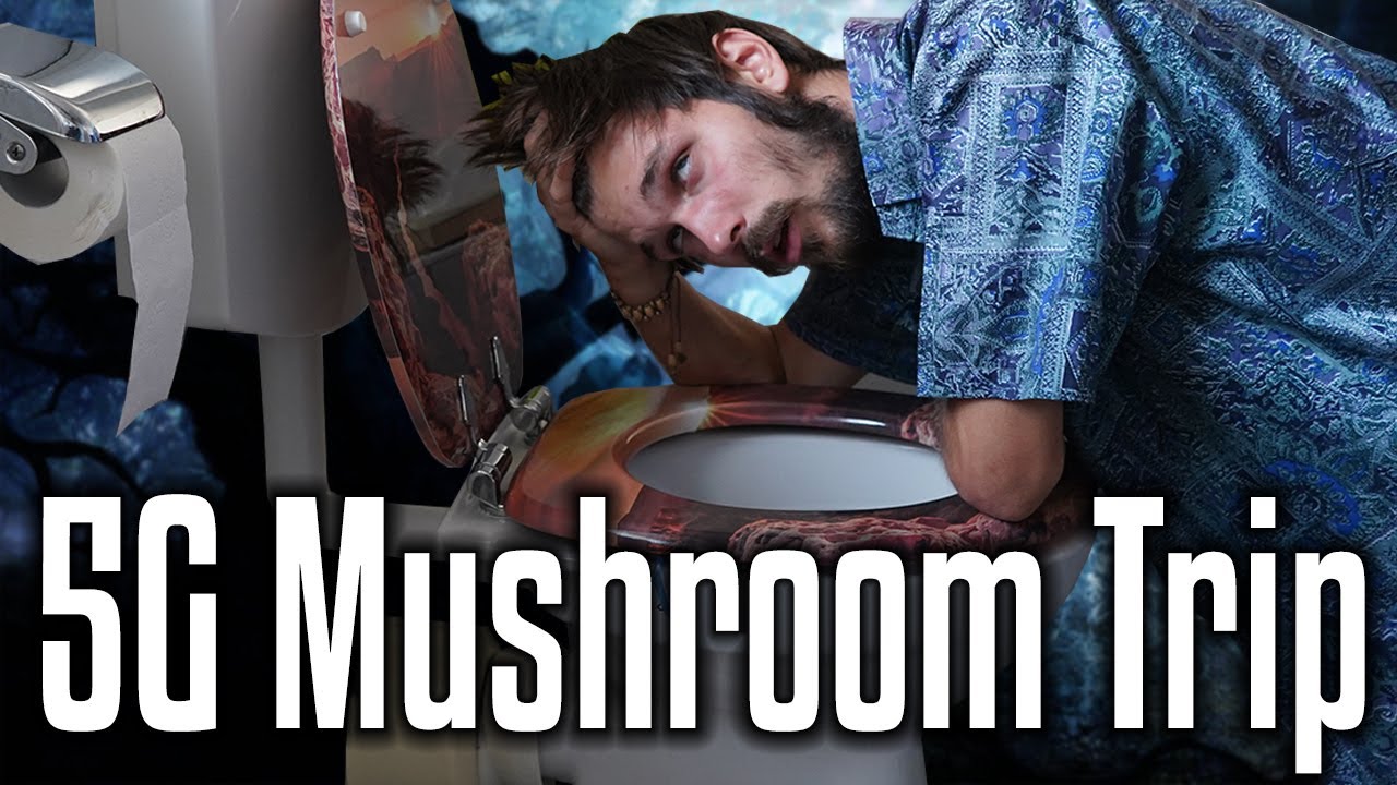 My Second 5G Magic Mushroom Experience ||Trip Report (Bad Trip)