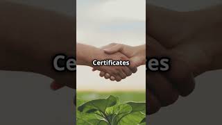 Filipino Farmers Get Soft Loans After Debt Condonation: A New Dawn for Agriculture screenshot 3