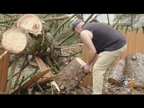 New Wind Storm