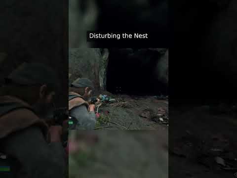 Disturbing the Nest