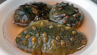 How to make raw sea cucumbers delicious?Teach you a trick, the original flavor, no loss of nutrition