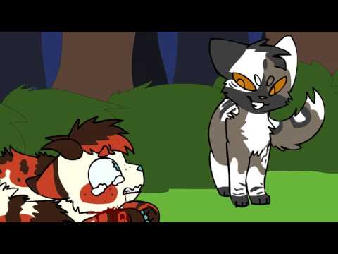 the assistant pmv [cm]