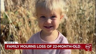 Family asks for support and forgiveness after toddler killed in Layton accident