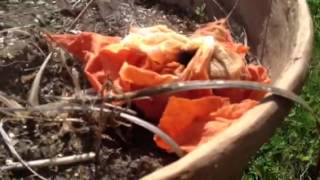 Oil rag fire