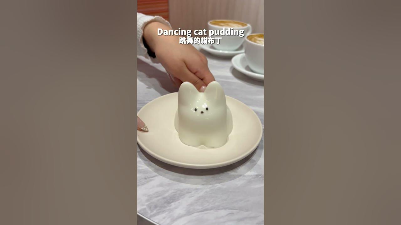 【cat pudding🐱】The cat pudding that went viral in Korea has landed in