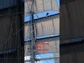 Working the Sails 80' high on the Tall Ship "ELISSA" leaving Fort Pierce inlet