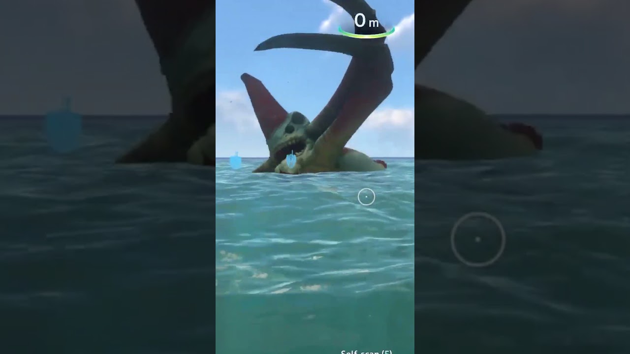 A ROLLERCOASTER FULL OF EMOTIONS