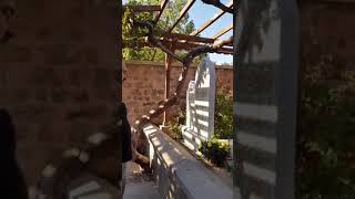 Kazim Yildirim İle Gezi̇-Yorum Somuncu Baba Aksaray