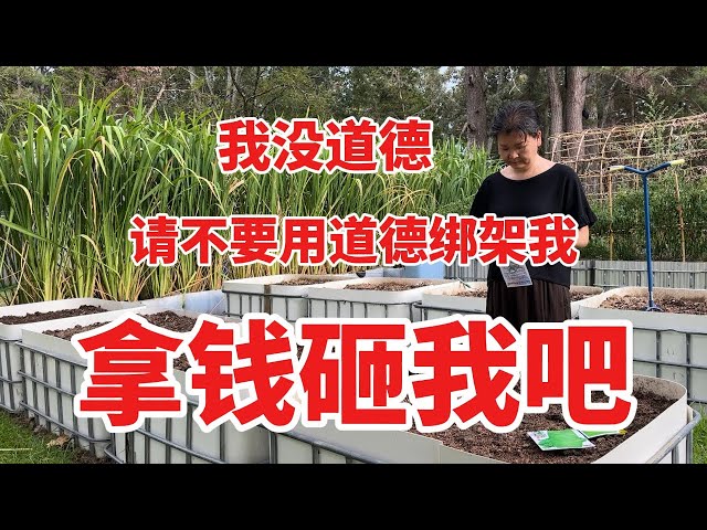 我没道德，请不要道德绑架我，拿钱砸我吧！