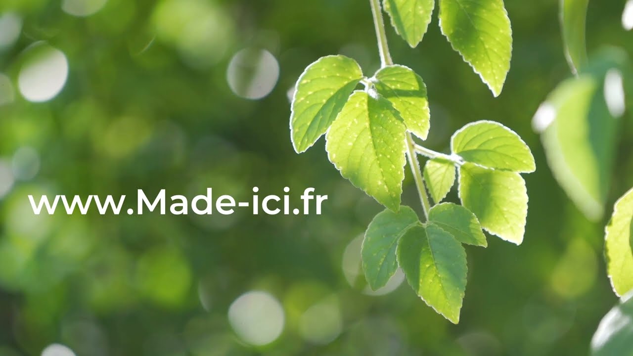 Achetez local (c'est bon pour vous)