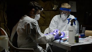 New Method Developed to Detect Ebola Virus | WCS