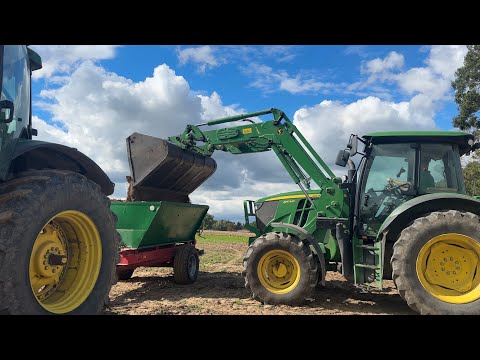 The only pre-sowing fertilizer for wheat spread