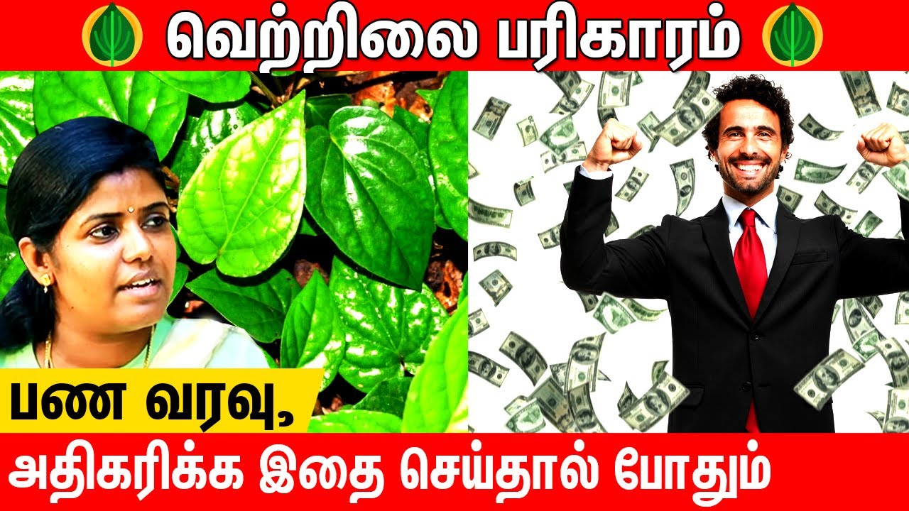 🍃🍃🍃வெற்றிலை பரிகாரத்தின் முக்கியத்துவம் என்ன?🍃🍃🍃 SRI SAI JOTHIDANILAYAM | ASTROLOGER SATHYA