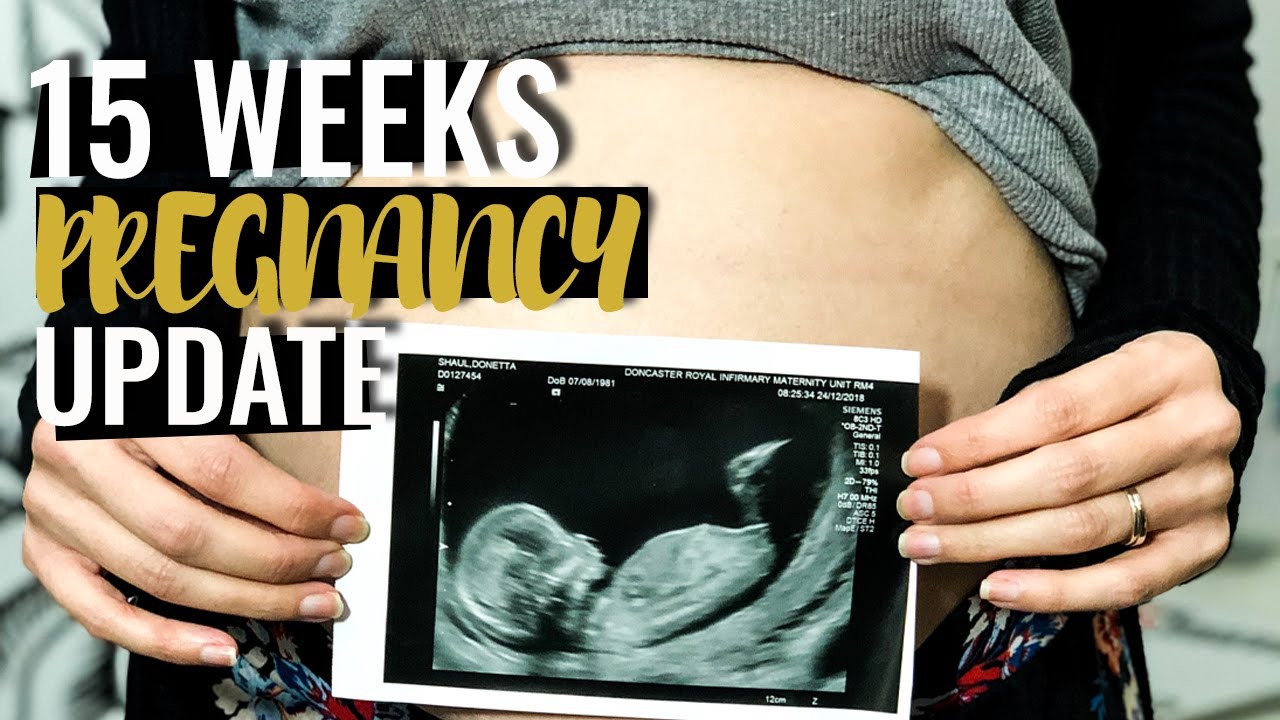 15 WEEKS PREGNANCY UPDATE SYMPTOMS, CRAVINGS & MY BUMP YouTube