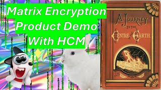 Matrix🧙🏻‍♂️Encryption — Non-Deterministic Encryption Demo with Holographic Character Mapping🦊⭐🥷🏻