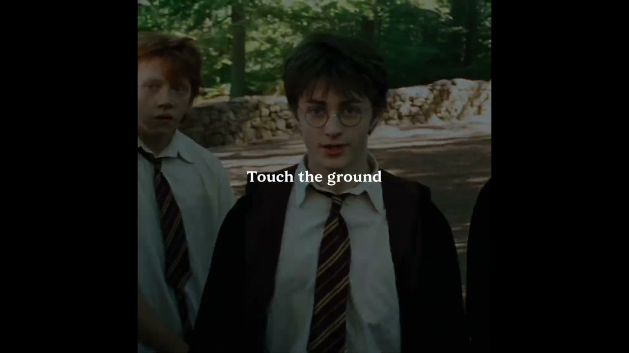 Harry ✨ should I do anyone else? 