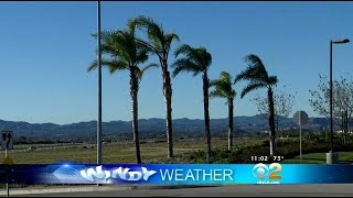 High Wind Advisory In Effect For LA, Ventura Counties