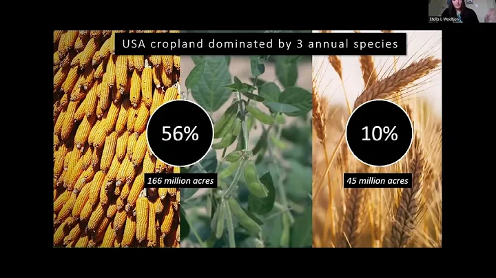 Stella Woeltjen's PhD thesis defense