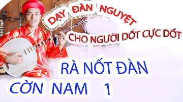 DẠY ĐÀN NGUYỆT ĐIỆU CỜN NAM HUẾ 1GIÁ Ô 10   CHO NGƯỜI DỐT CỰC DỐT