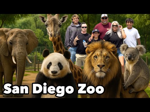 Trip to San Diego Zoo 2025
