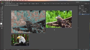 Adobe Illustrator - Embedding Images