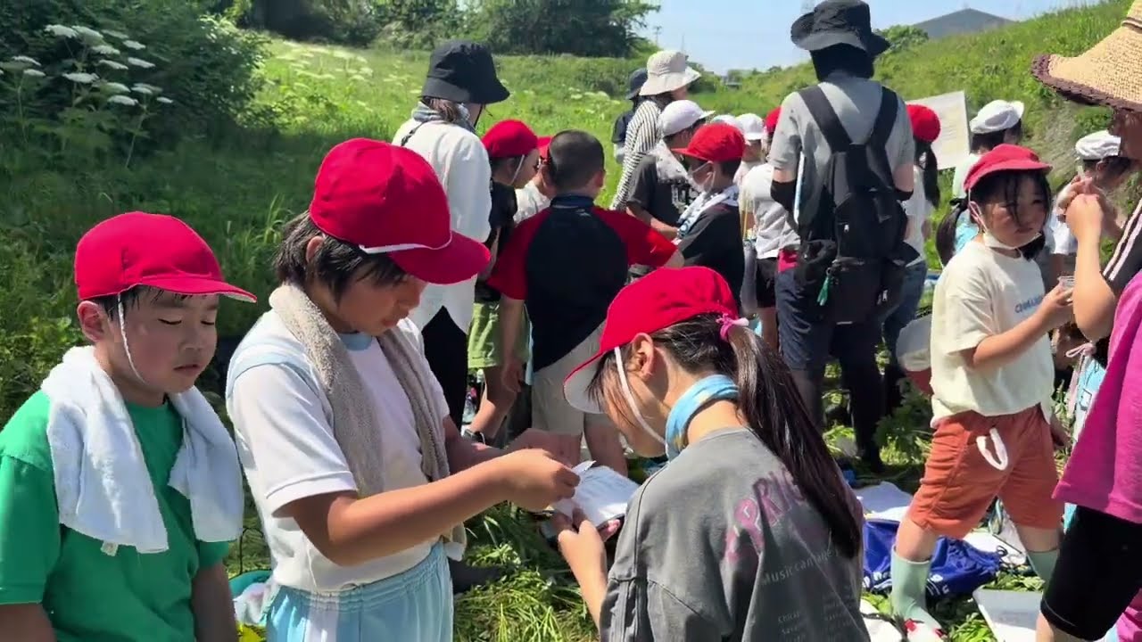 田上町立田上小学校4年生が「総合的な学習で「Let's go 才歩川探検隊を」をスローガンに才歩川で水質調査や水生生物の観察