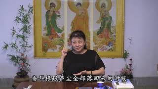 耳根的根器好 易度门 聊天室汇辑2018年5月