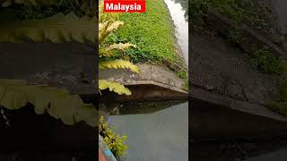 Big Drain in Malaysia . #shorts #noorofficial12