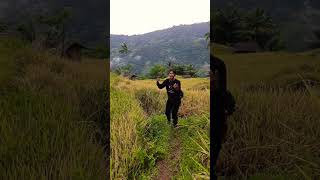 hiburansegar duet sawit musikhiburan dancechallenge musiklucu jogetseru dance