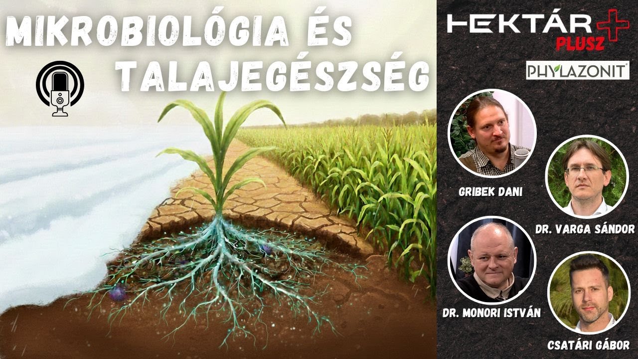 Láthatatlan segítség az aszályban: a mikrobiológia és a talajegészség - Phylazonit a HEKTÁR Pluszban