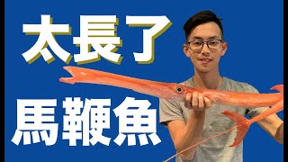 看都沒看過的馬鞭魚生魚片 | 海洋主廚愛爾文| 魚類處理