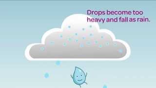 Natural water cycle - Precipitation