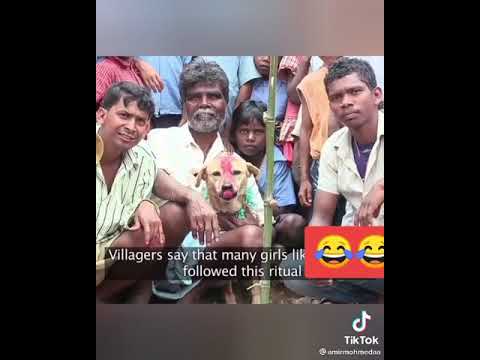 زواج بنت هنديه من كلب اغرب عادات الهند