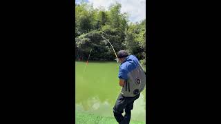 🔥Live Fishing: Catching Big Fish Today! 🎣