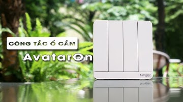 Công tắc ổ cắm AvatarOn Schneider