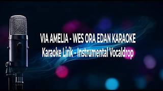 Download lagu VIA AMELIA - WES ORA EDAN KARAOKE | Karaoke Lirik | Karaoke Instrument