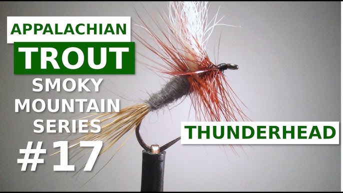 Woolly Worm - Fly Tying Appalachian/Great Smoky Mountain Trout Flies 