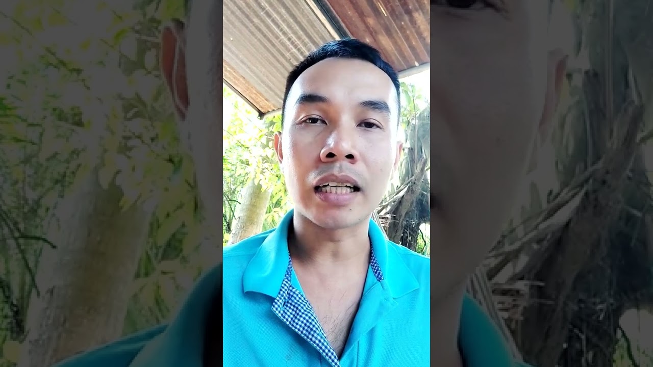 Các dạng mồi dùng để Câu Cắm Cá Lóc #shorts - youtube