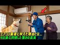 秋田犬がエアコンの設置業者に向かって激しく吠えた。 その後に明らかになった事実に、誰もが驚愕した #感動ストーリー #日本#ゆっくり解説