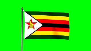 Zimbabwe flag waving over green screen - royalty free footage