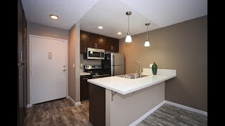 Renovated Studio 503 sq ft