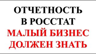 Статистика | Штрафы | СТАТОТЧЕТНОСТЬ в РОССТАТ для бизнеса | МАЛЫЙ БИЗНЕС | Предприниматель | ИП ООО