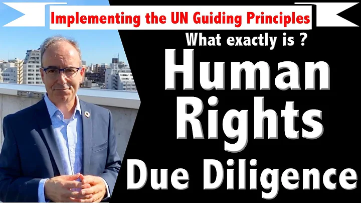 Implementing the UNGPs: Human Rights Due Diligence - DayDayNews