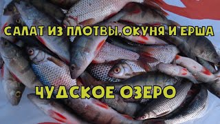 САЛАТ ИЗ ПЛОТВЫ, ОКУНЯ И ЕРША. ЧУДСКОЕ ОЗЕРО